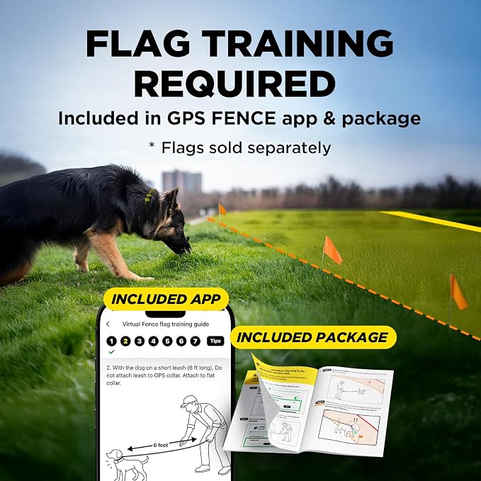 Dogtra GPS Dog Fence & Titanium Contact Points 1" | No Subscription, Wireless Custom Fence with App, Tone/Vibration/Correction, Waterproof Rechargeable Collar 15lbs+, Ideal for Long-Haired Dogs