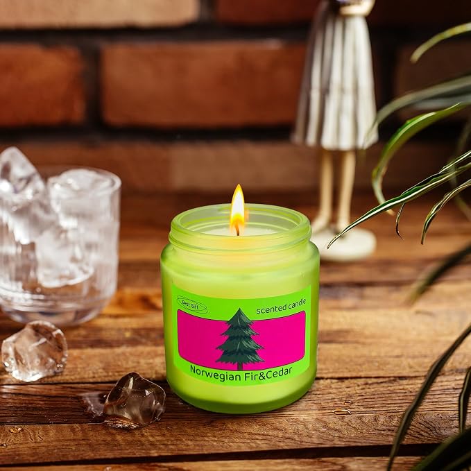 12 Pack Candles for Home Scented, Colored Frosted Jar Aromatherapy Candle Gifts for Women, Natural Soy Wax Candle Set, Scented Candles Set for Birthday Valentine Mother's Christmas Day Present