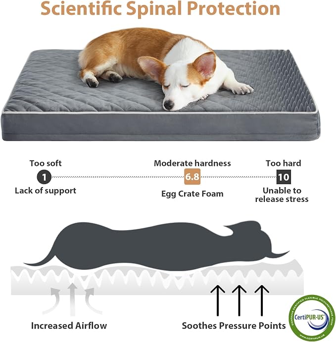 WNPETHOME Orthopedic Waterproof Extra Large Senior Dogs Bed for Comfy Sleep | XL Washable Ped Bed with Removable Cover, Multi-Needle Quilting XL Crate Bed for Large Sized Dog Relax,Grey 42x30 Inch