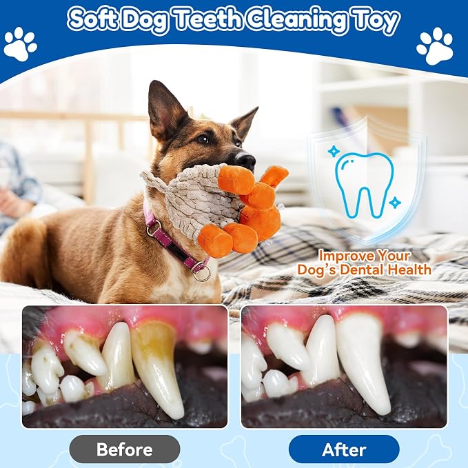 loncoldy Squeaky Dog Toys, Tough Chew Toys for Dogs, Crinkle Interactive Squeaky Stuffed Dog Toy for Medium Small Puppy Breeds, Plush Dog Toy to Keep Them Busy, Pet Toys for Dogs