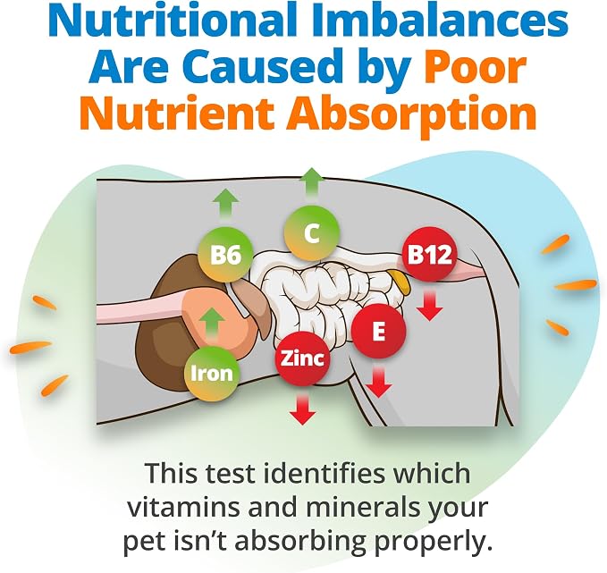 5Strands Pet Nutritional Imbalance & Food Intolerance & Environmental Sensitivity Test, At Home Hair Analysis for Dogs & Cats, Identify Nutrient Gaps & Dietary Stressors, Results in 4 Days