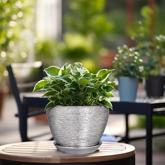 Ceramicfor Ceramic Planter - 6 Inch Plant Pot Indoor with Drainage Hole and Saucer Outdoor Pot for Plants Round Decorative Planter Modern Mid-Century Flower Pot for Office Decor Silver