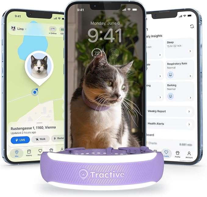 Tractive Smart Cat GPS Tracker Collar | Real-Time Location & Wellness Monitoring for Cats | Territory & Location History | Health Alerts & Vitals Monitoring | Breakaway Collar (Brown) (Lavender)