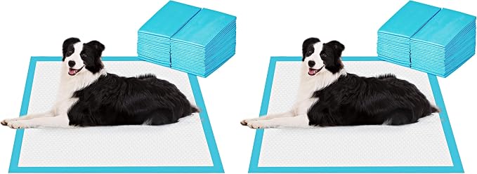 BESTLE Extra Large Pet Training and Puppy Pads Pee Pads for Dogs 28"x34" -40 Count Super Absorbent & Leak-Proof (Pack of 2)