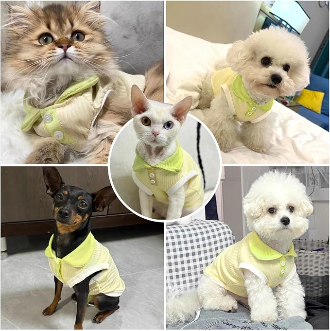 Dog Tshirts for Small Dogs Polo Shirt Stretchy Dog T Shirt Breathable Dogs Cooling Vest Girl Boy Puppy Dachshund French Bulldog Frenchie Chihuahua Clothes