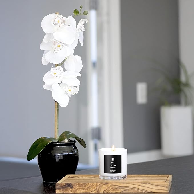 Lulu Candles | Fresh Morning Air | Luxury Scented Soy Jar Candle | Hand Poured in The USA | Highly Scented & Long Lasting (9 Oz.)