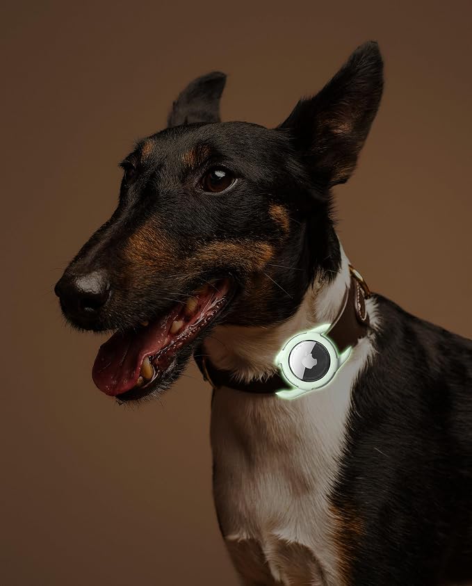 Waterproof AirTag Holder for Dog Collar, Soft Slide-On Dog AirTag Holder | Full-Body Protection, No-Dangle Fit, Ultra-Durable, Lightweight, Tool-Free Installation, Clear Cover, Fits Dog & Cat Collars