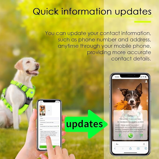 ThinkPet No Pull Harness Breathable Sport Harness with QR Code Dog Tag Reflective Dog Harnesses Smart ID Tagwith Handle Adjustable for Medium Large Dogs Back/Front Clip for Easy Control XL Green