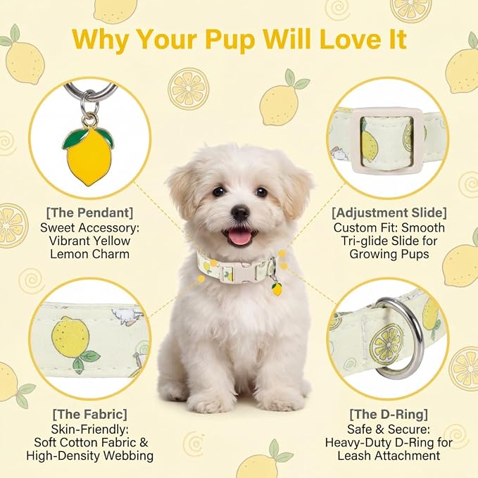 Dog Collar, Spring Summer Dog Collar with Yellow Lemon and Cute Charm, Pet Collar with Quick Release Buckle and Durable Fabric, Suitable for Small Dogs
