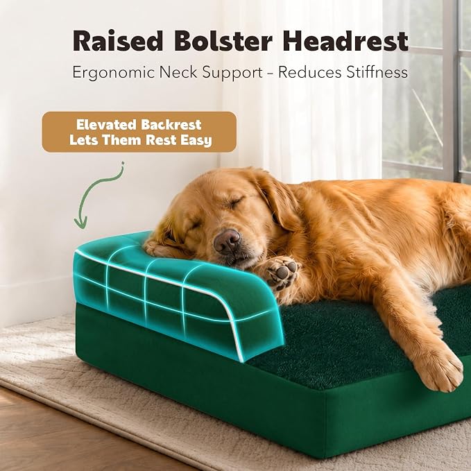 Orthopedic Washable Dog Bed with Bolster for Medium to Large Dogs | Pillow Support for Neck Relief, Egg Crate Foam, Waterproof Liner, Anti-Slip Bottom, Removable Bolster Cover, 36 x 27 Inch