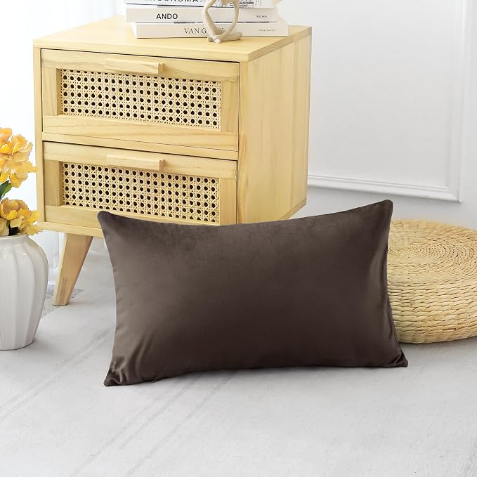 Artscope Luxury Velvet Pillow Covers Decorative Rectangle Pillowcases Soft Solid Cushion Cases for Couch Sofa Bedroom Car Decor 16x24 Inch Chocolate Brown