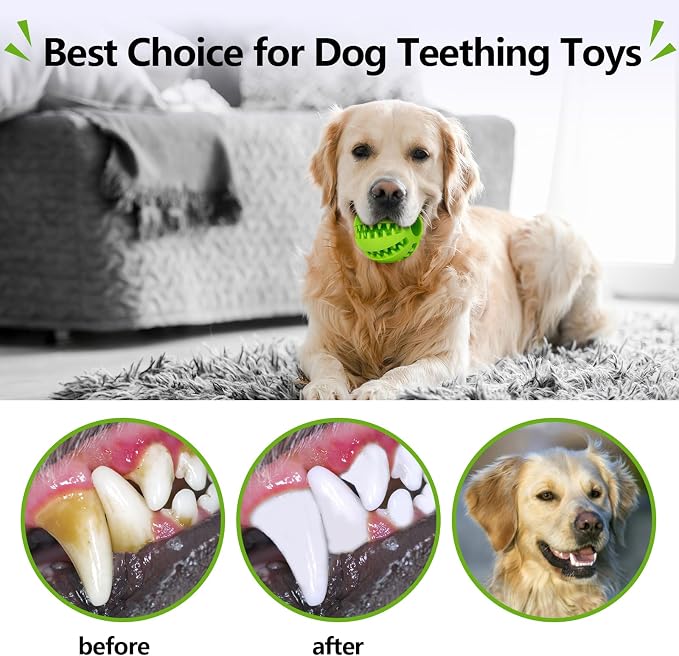 Treat-Dispensing Dog Toys: 2Pack Dog Balls for Teething