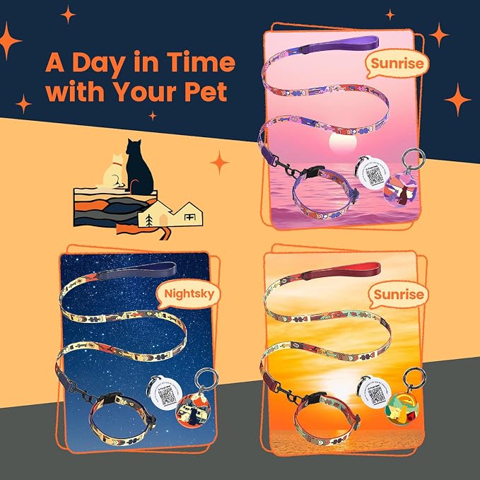 Dog Collar and Leash Set with QR ID Tag, 5 FT Leash, Dark Blue, S