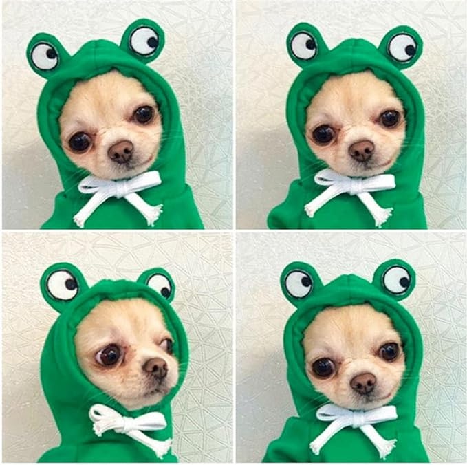 Warm Dog Winter Clothes Cute Dog Coat Hoodie, Green, XS | Fleece Pet Dog Frog Shaped Costume Jacket for French Bulldog Chihuahua Pug Boston Terrier Dachshund Greyhound Ropa Para Perro