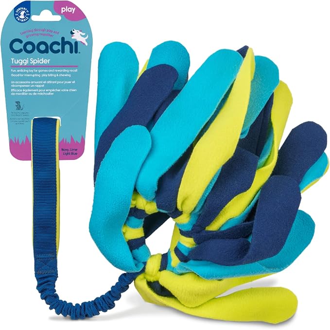 Coachi Tuggi Spider - Interactive Dog Toy for Tug of War & Play
