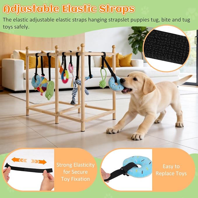 Puppy Play Gym Dog Activity Center for Small Dogs Puppy Gym