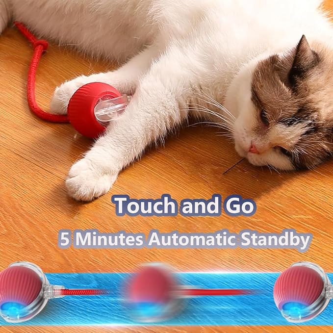 Interactive Cat Toys for Indoor Cats, Agility Move Cat Balls,Motion Activated Cat Balls, Cat Toys for Bored Indoor Cats（Green）