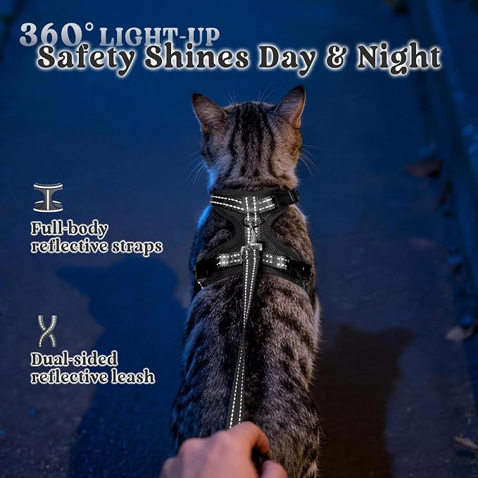 rabbitgoo Cat Harness and Leash, Easy-on with Neck Buckle, Black