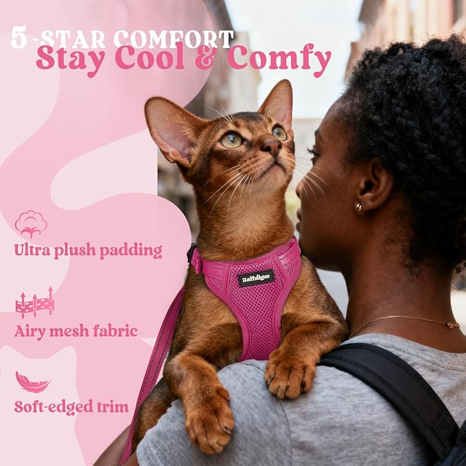 rabbitgoo Cat Harness and Leash Set, Easy-on with Neck Buckle, Rose Red