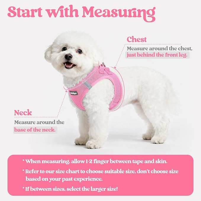 rabbitgoo Dog Harness Medium Sized and Leash Set, Step-in Puppy Pet Vest | Light, Soft, Breathable Air Mesh, Easy on and Remove with Hook & Loop, Secure Reflective for Walking, Light Pink XXL