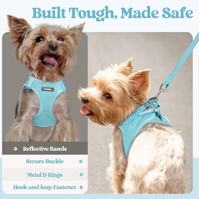rabbitgoo Dog Harness Small Sized and Leash Set, Step-in Puppy Pet Vest | Light, Soft, Breathable Air Mesh, Easy on and Remove with Hook & Loop, Secure Reflective for Walking, Mint Blue S