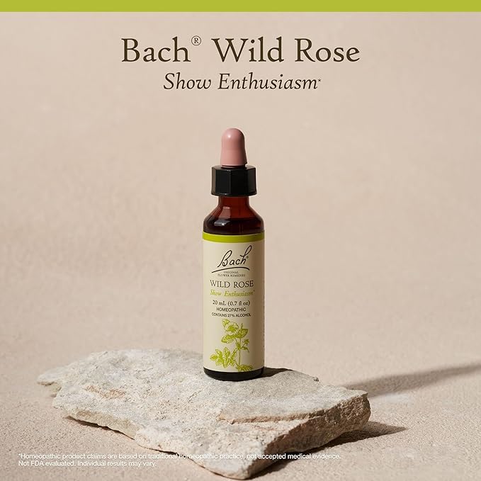 Bach Original Flower Remedies, Wild Rose - Show Enthusiasm - Natural Homeopathic Flower Essence for Emotional Balance - Vegan, Gluten Free, Sugar Free - 20mL Dropper