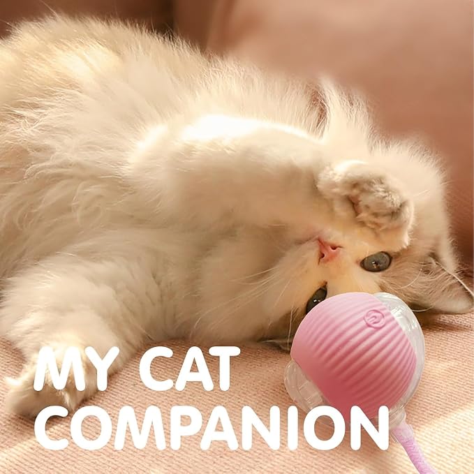 Durable Interactive Cat Toys for Indoor Cats, Smart Automatic Cat Chase Ball Toy, Upgraded Speedy Tail Kitten Toy for Bored Indoor Adult Pets (Pink, 01)