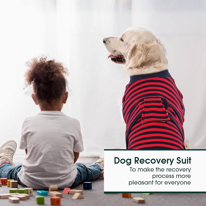 Kuoser Recovery Suit for Dogs Cats, Soft Dog Surgery Suit Female Male Spay | Professional Dog Onesie for Surgery, Substitute E-Collar & Cone, Prevent Licking Dog surgical suit Pet Neuter Suit