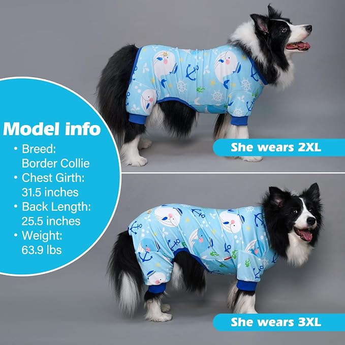 KYEESE Velvet Dog Pajamas for Large Dogs Soft Onesie Shirt, Whale | 4-Way Stretch, Lightweight & Breathable, Reduces Shedding, Gentle on Sensitive Skin, Recovery Support, Easy Potty Breaks