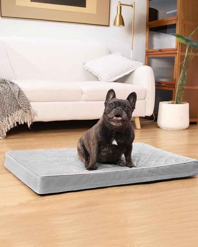 NUPIDA Orthopedic Medium Dog Bed for Crate with Washable Cover, 29x18 | Egg-Crate Foam, Cozy Velvet Pet Mattress, TPU Waterproof Layer, Flat Kennel Pad, Comfy Support, Non-Slip Bottom