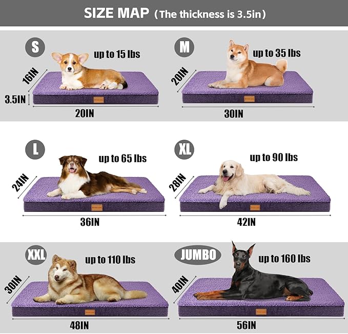 Patas Lague Orthopedic Large Dog Bed Washable Pet Sofa Mat 36''X24''Purple | Egg-Crate Foam Dog Couch For Large Sized Dogs, Waterproof Removable Cover, Soft Pet Crate Bed With Nonskid Bottom
