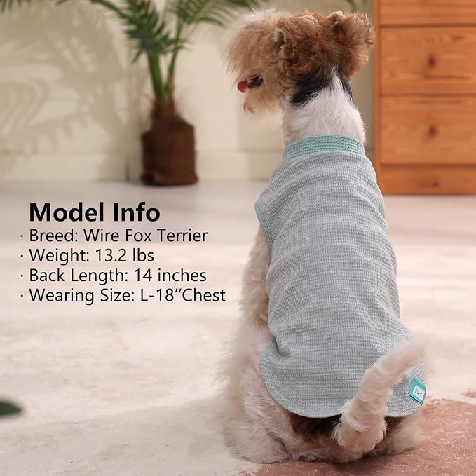 KYEESE 2Pack Waffle Dog Shirt for Small Dogs Striped Dog Sweater Tank Top | Cozy Warmth, Lightweight & Breathable, Gentle on Sensitive Skin, Stretchy & Free to Move, Comfortable Daily Wear