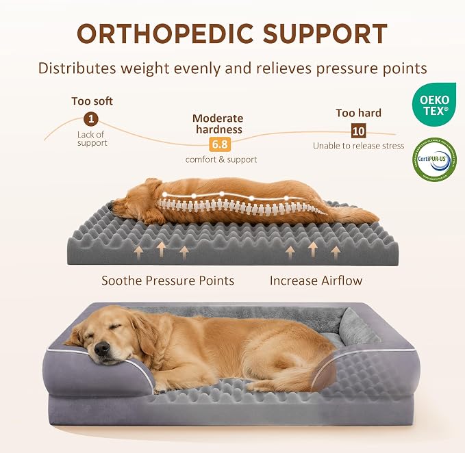 Comfort Expression Waterproof Orthopedic Dog Beds for Extra Large Dog | Supportive Egg Crate Foam XL Dog Bed with Removable Bolster, Dog Couch with Washable Cover & Non-Slip Bottom, 45x35 Inch