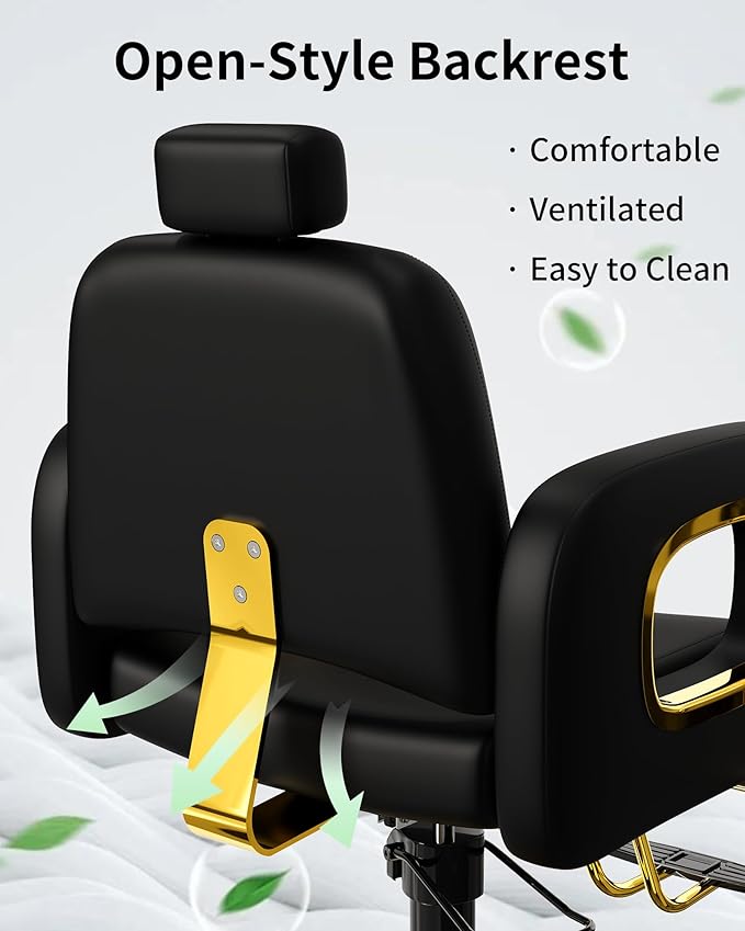 Baasha Black and Gold Reclining Salon Chair with Adjustable Headrest, Soft PU Leather, Hydraulic Styling Chair with Heavy-Duty Steel Frame, 440 lbs Capacity, Ideal for Hair Braiding, Tattoo