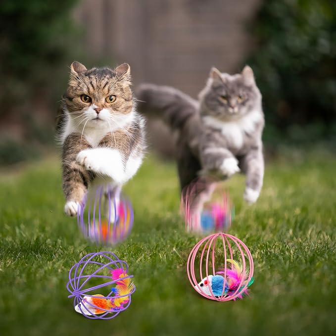 Jecery 5 Pcs Cat Toys Spring,Metal Cage,Multicolor