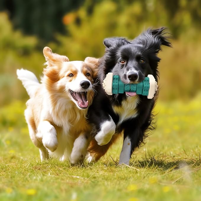 PcEoTllar Dog Chew Toys for Aggressive Chewers, Beef Flavor, Safe Rubber
