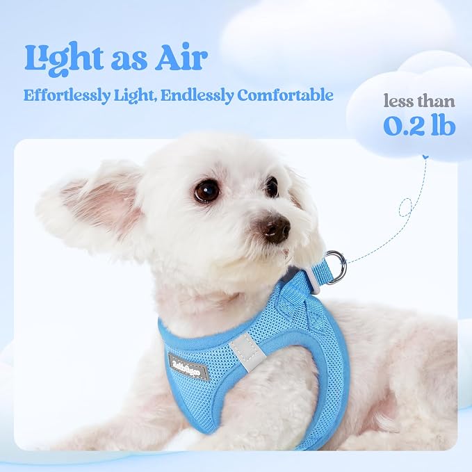 rabbitgoo Dog Harness Small Sized and Leash Set, Step-in Puppy Pet Vest | Light, Soft, Breathable Air Mesh, Easy on and Remove with Hook & Loop, Secure Reflective for Walking, Blue XS