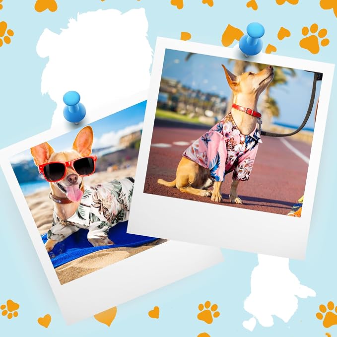 Weewooday 4 Pack Hawaiian Dog Shirts Summer Tropical,Floral Style,X-Large | Breathable Tee for Small Dogs, Beach Vacation Outfit, Floral Pineapple Palm Prints, Button-down Hawaiian Style Pet Shirt