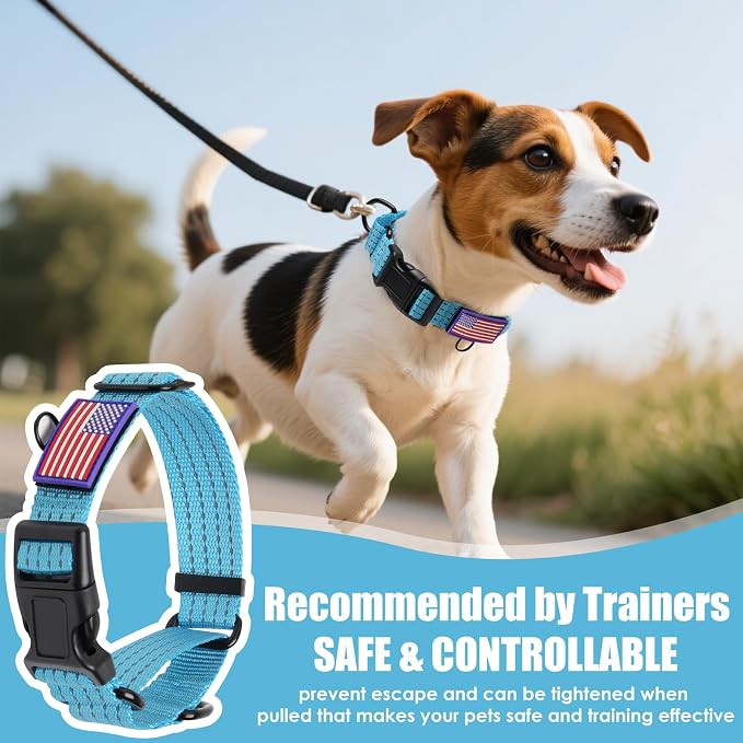 Martingale Dog Collar Reflective NO Pull with USA Flag, M,Sky Blue