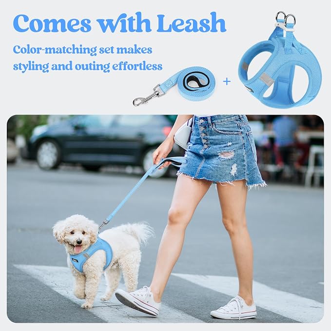 rabbitgoo Dog Harness Medium Sized and Leash Set, Step-in Puppy Pet Vest | Light, Soft, Breathable Air Mesh, Easy on and Remove with Hook & Loop, Secure Reflective for Walking, Blue L