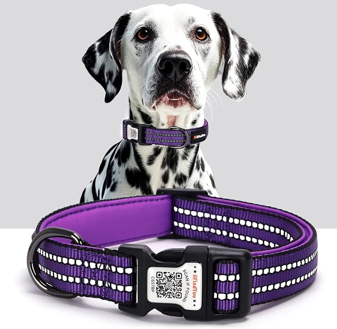 Personalized Dog Collar with QR Code Dog Tag, Purple M | Anti-lost, 1000D nylon, reflective, padded, XS-L(8"-24"), QR buckle shares lost pet profile, location alerts when scanned