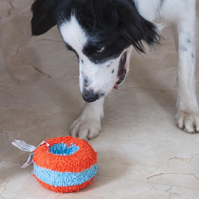 Chuckit! Indoor Fetch Roller Toy for Dogs - Interactive Dog Toys for Boredom, Orange and Blue 4.7 inches (Pack of 12)
