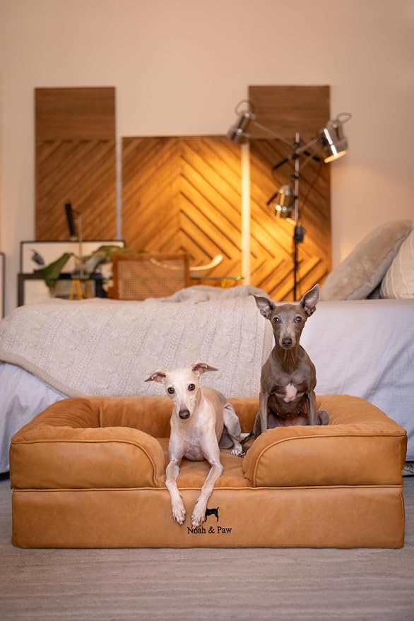 NOAH & PAW Large Dog Bed, 35x25x11 Inch, Orthopedic Dog Beds, Eggshell Memory Foam Infused with Cooling Gel, Inner Cover, Water Resistant, Machine Washable (Faux Leather)