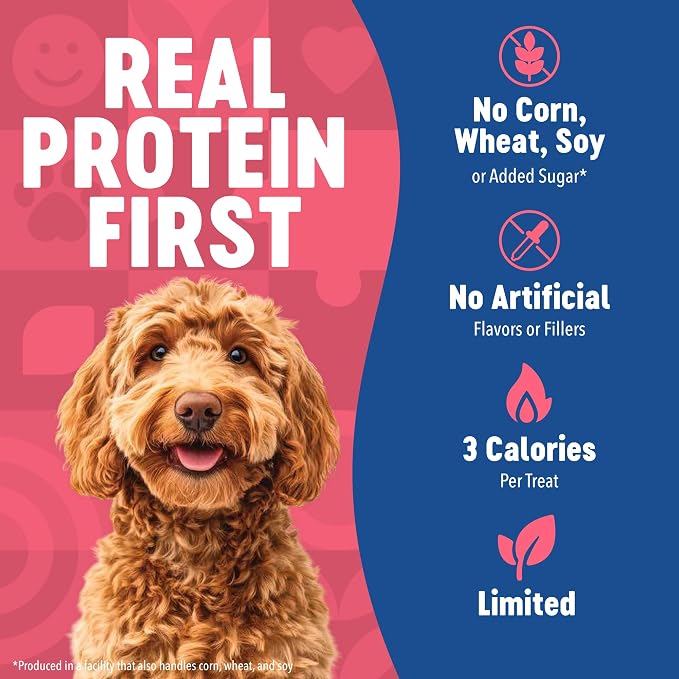 Finley's Training Treats Salmon Soft Low Calorie Dog Treats, 16oz, 1 Pack | Limited Ingredient for Puppies and Adult