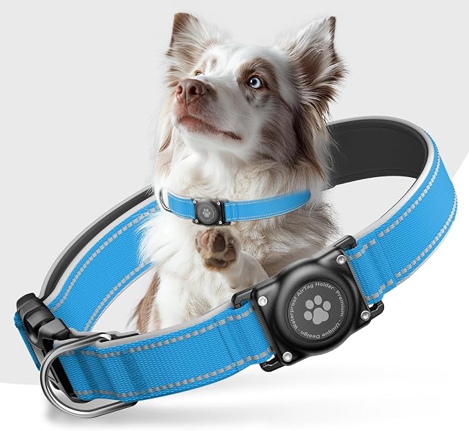 Upgrade Dog Collar with AirTag Holder, IP68 Waterproof, Ocean Blue, M | Built-in Water Resistant AirTag holder, 1000D Nylon, Reflective Stitching for Night Visibility, Soft padding for Comfort