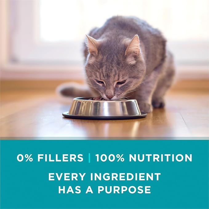 Purina ONE High Protein Cat Food Variety Pack, 24 Count 3 oz Cans | Turkey, chicken and tuna recipes in gravy or sauce, no added fillers, created with added vitamins for whole-body hydration