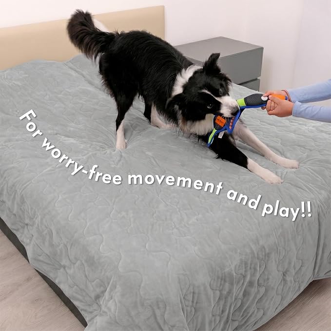Paw Inspired Non-Slip Couch & Furniture Protector (Anti-Slip, Gray) | Waterproof, Washable Bed & Couch Cover for Dogs, Cats, and Pets, 80x90 Inch Size
