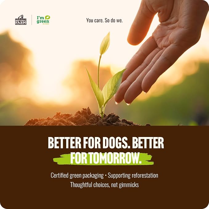 Natural Farm Odor Free Bully Sticks (2-3 Inch, 1 Pound) for Small & Medium Dogs - 100% Beef Chews for Pups, Non-GMO, Grain-Free, Fully Digestible Long Lasting Dog Treats (Pack of 3)