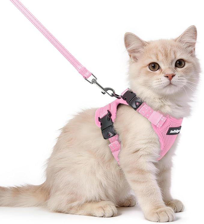 rabbitgoo Cat Harness and Leash, Easy-on with Neck Buckle, Pink