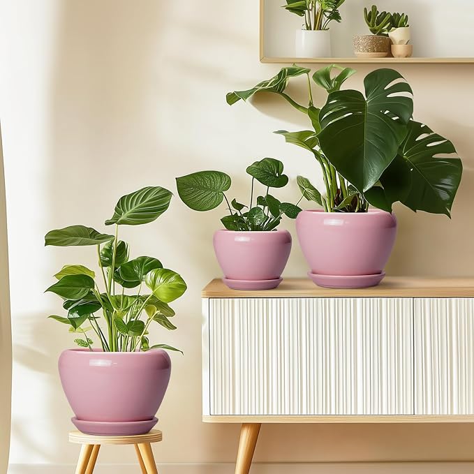Ceramicfor Ceramic Modern Glaze Succulent Planter Pot with Drainage Hole and Saucer 8 Inch Round Flower Plant Pot for Indoor Outdoor Herb Snake Plants, Pink